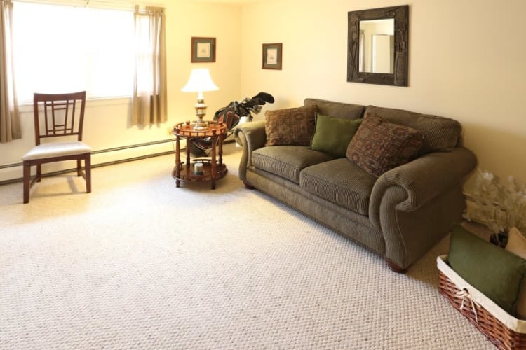 Village Green Apartments offers a naturally well-lit living room in Baldwinsville, NY