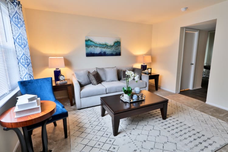 Our apartments in Baltimore, MD have a naturally well-lit living room