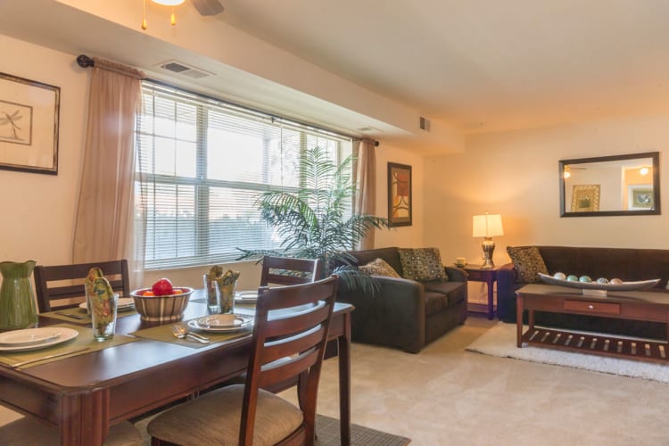 Efficiency 1 2 Amp 3 Bedroom Apartments Amp Townhomes In