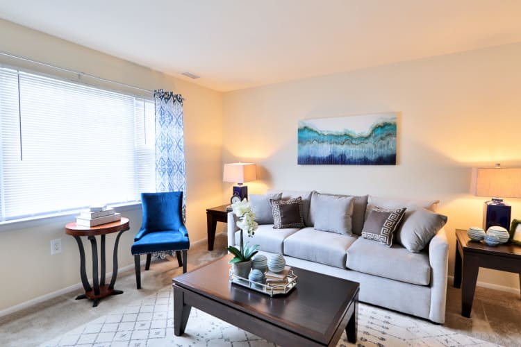 Our apartments in Baltimore, MD have a naturally well-lit living room