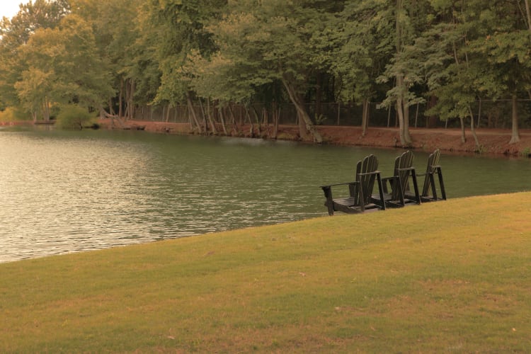 Beautiful resident pond at The Lofts Of Greenville in Greenville, South Carolina