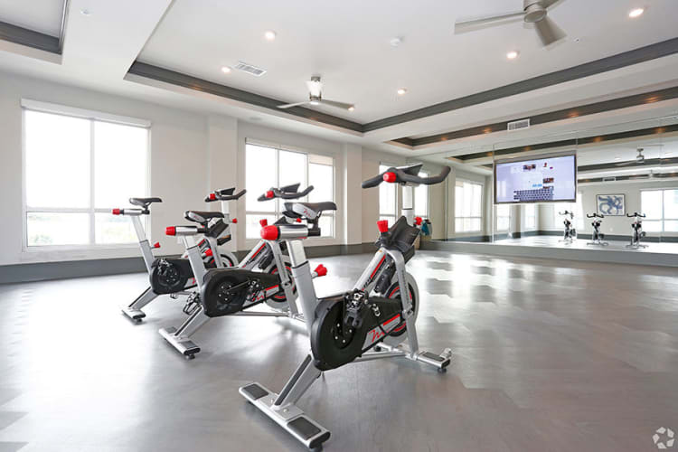 Amenities At Vue At Belleair Apartments With Walk In Closets