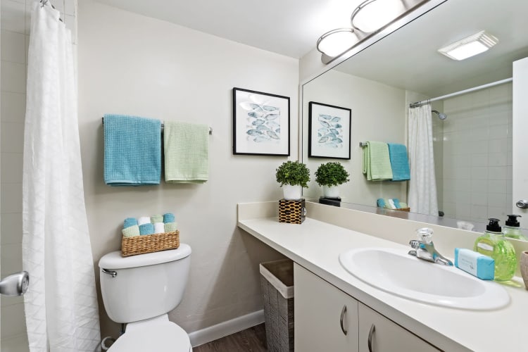 Model bathroom with ample counterspace at Executive Apartments in Miami Lakes, Florida