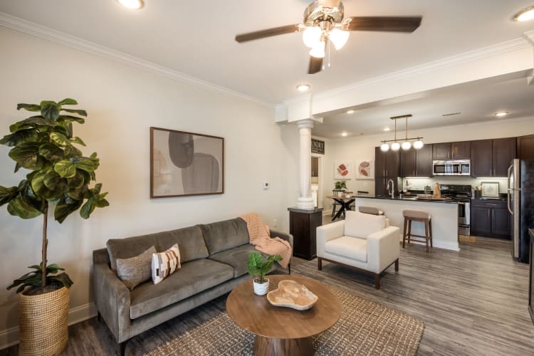 Apartment Features at Arlo Luxury Apartment Homes in Little Rock, Arkansas