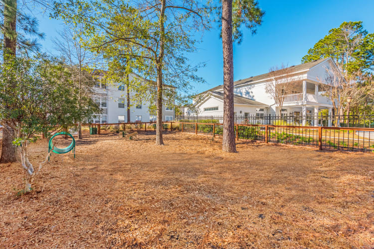 Onsite dog park at Ingleside Apartments in North Charleston, South Carolina