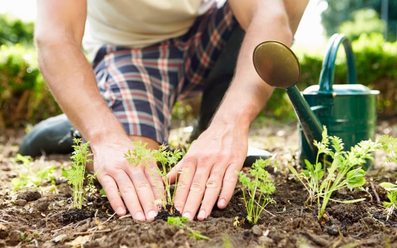 Gardening at Velō in Boston, Massachusetts
