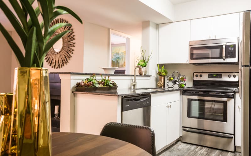 Kitchen area featuring stainless steel appliances at 4127 Arcadia in Phoenix, Arizona