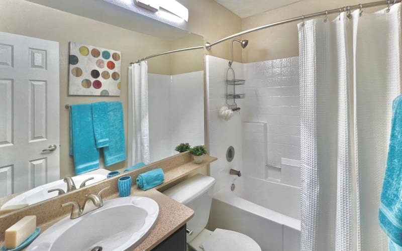Renovated bathroom with espresso cabinets at Terra Nova Villas in Chula Vista, California