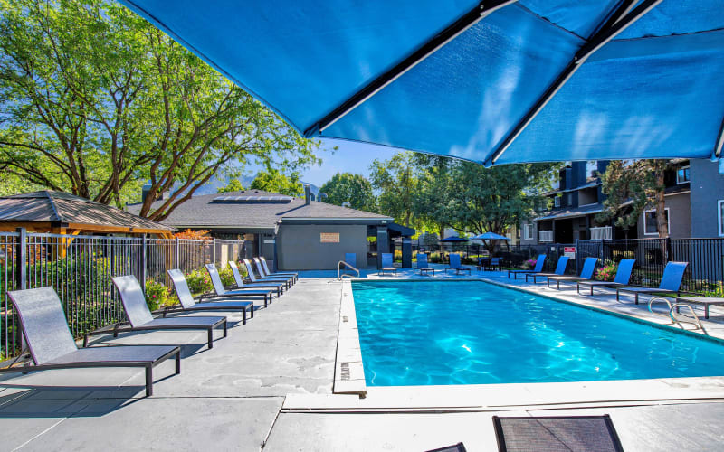 Bright blue pool with lounge chairs at Royal Farms Apartments in Salt Lake City, Utah