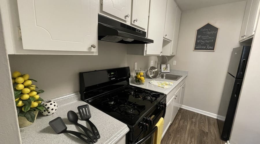 Three bedroom apartment at The Village on Riverwalk in College Park, Georgia