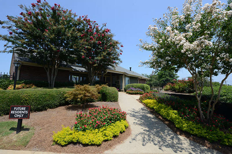 Professionally maintained landscaping outside the leasing center at The Everette at East Cobb in Marietta, Georgia