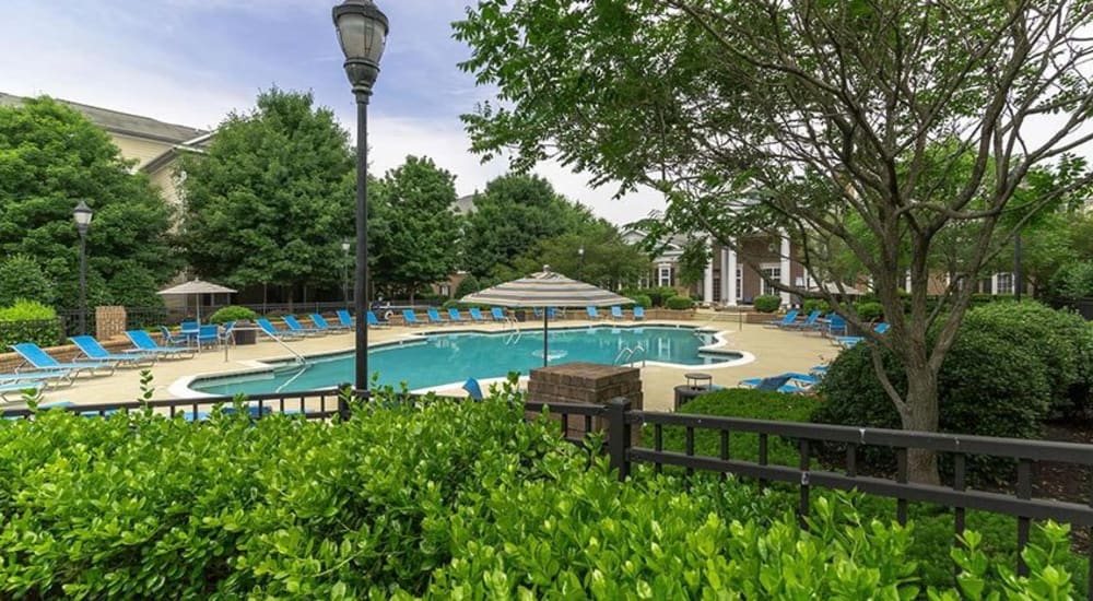 Beautiful pool at Avemore Apartment Homes in Charlottesville, Virginia
