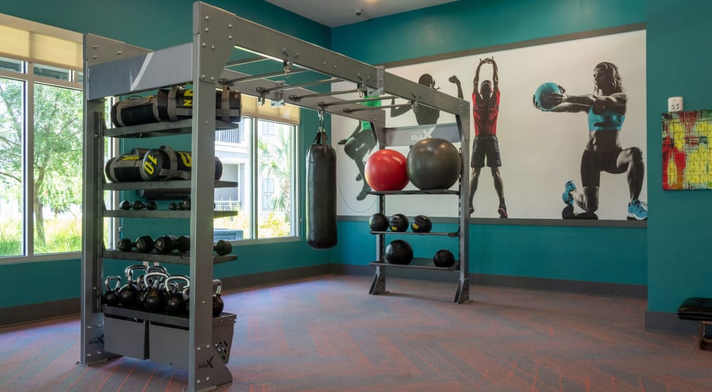 Large fitness center at Venue Live Oak in Sarasota, Florida