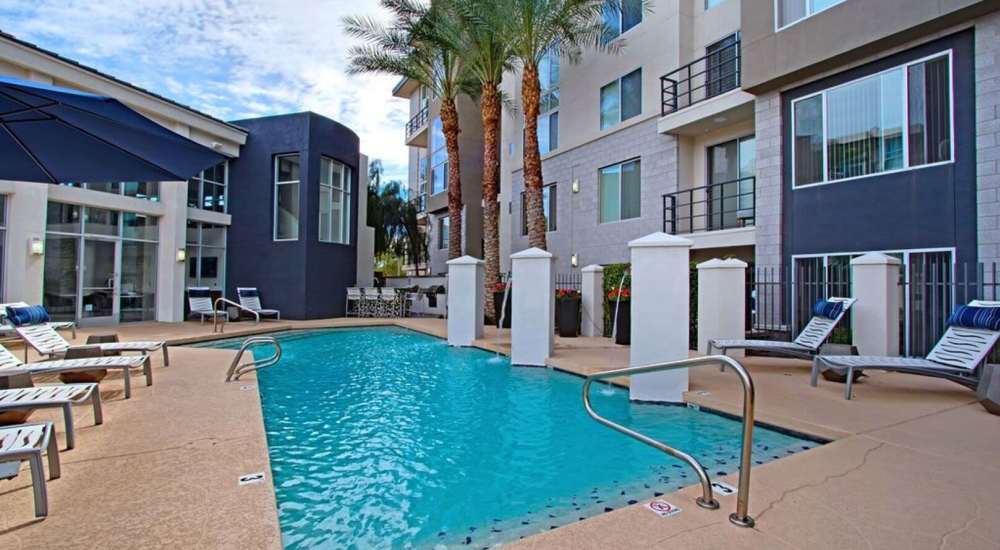 Resort style pool with palm tree side by at Ninety Degrees in Phoenix, Arizona 