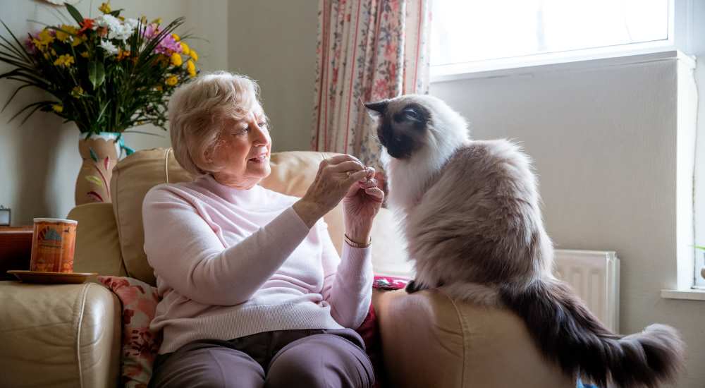 Resident with her cat at The Parc at Bakers Pointe in Richland Hills, Texas