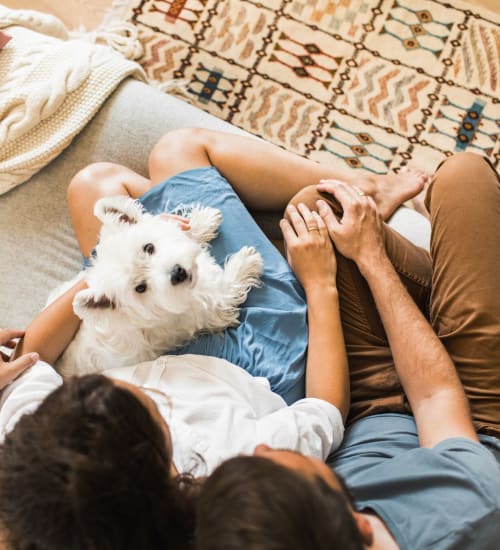 Little white dog looking up at camera while relaxing on the lap of a woman as a couple comfortably sit on a couch at Heritage Plaza in San Antonio, Texas