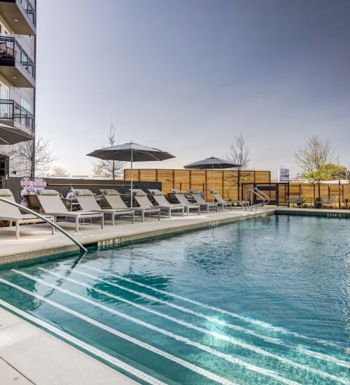 Swimming Pool at 44 South | Apartments in Austin, TX