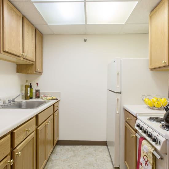 Fully equipped kitchen with garbage disposal at Ziegler Place in Livonia, Michigan