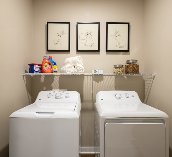 A full sized washer and dryer in an apartment at The Alexandria in Madison, Alabama The Alexandria in Madison, Alabama