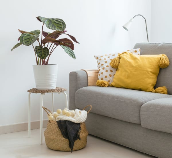 A furnished living room with a couch and potted plant at Riverstone in Macon, Georgia Riverstone in Macon, Georgia