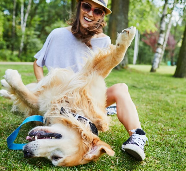 A dog laying in the grass with its owner at Ravella at Town Center in Jacksonville, Florida