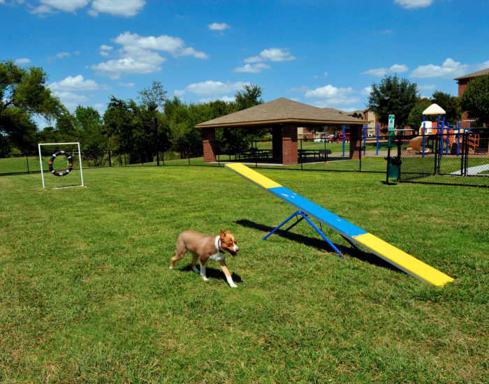 Dog park with agility equipment at Carrollton Park of North Dallas