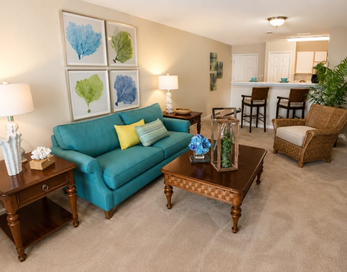 Living room at Reserve at Jacksonville Commons in Jacksonville, North Carolina