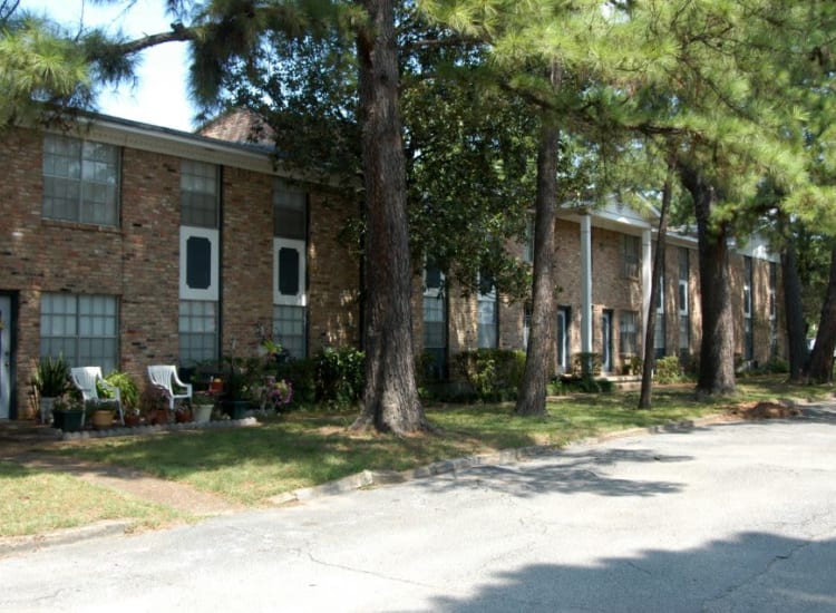Sturdy oak trees next to housing at Mendenwood in Memphis, Tennessee