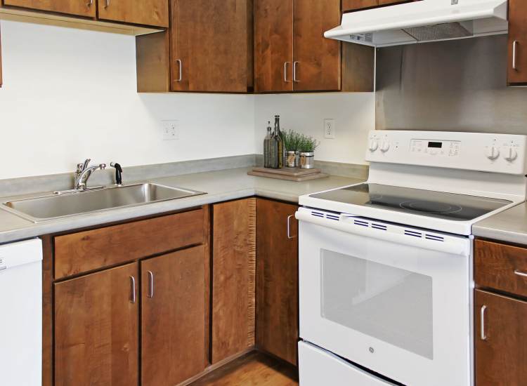 Kitchen with range and hood at 75 Amory in Boston, Massachusetts