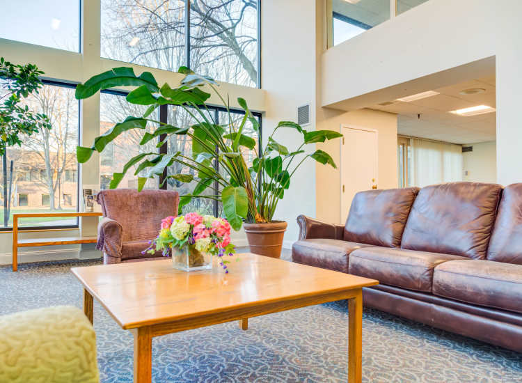 Community room with couch and indoor plant at Clark House in Amherst, Massachusetts, 