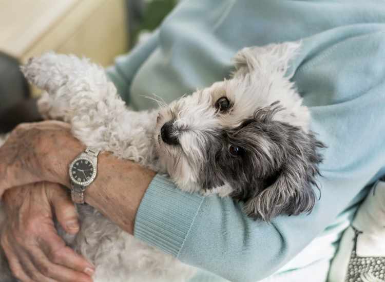 Resident cuddling her pet dog at Rogers Hall in Lowell, Massachusetts