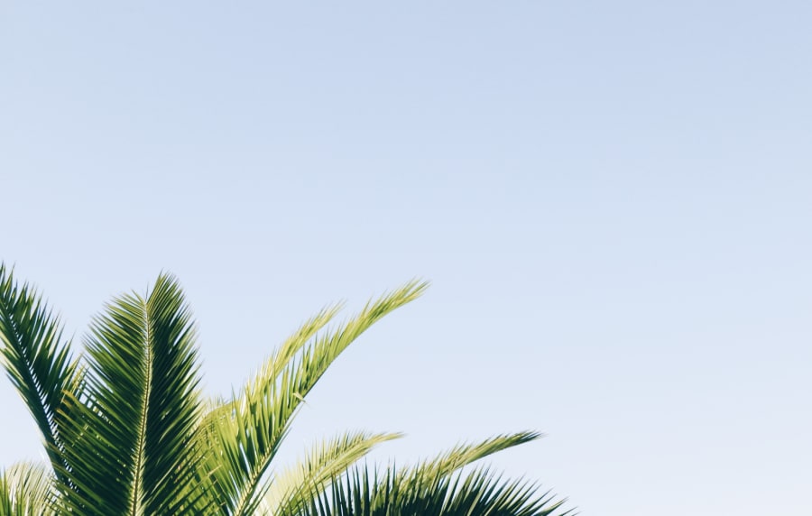 Apartments for rent at The Southerly at St. Augustine in St Augustine, Florida