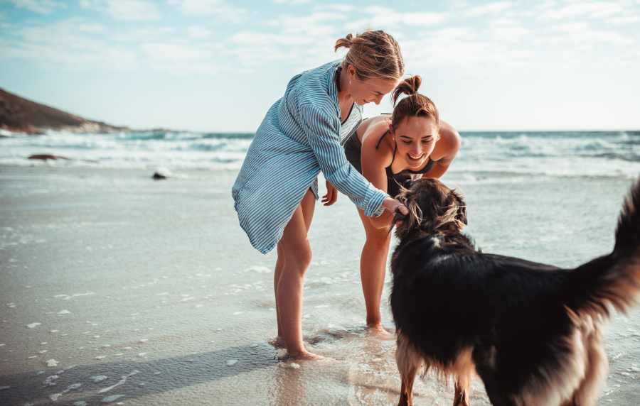 Resident couple walking their pup on the beach near Cottage Street at eTown in Jacksonville, Florida