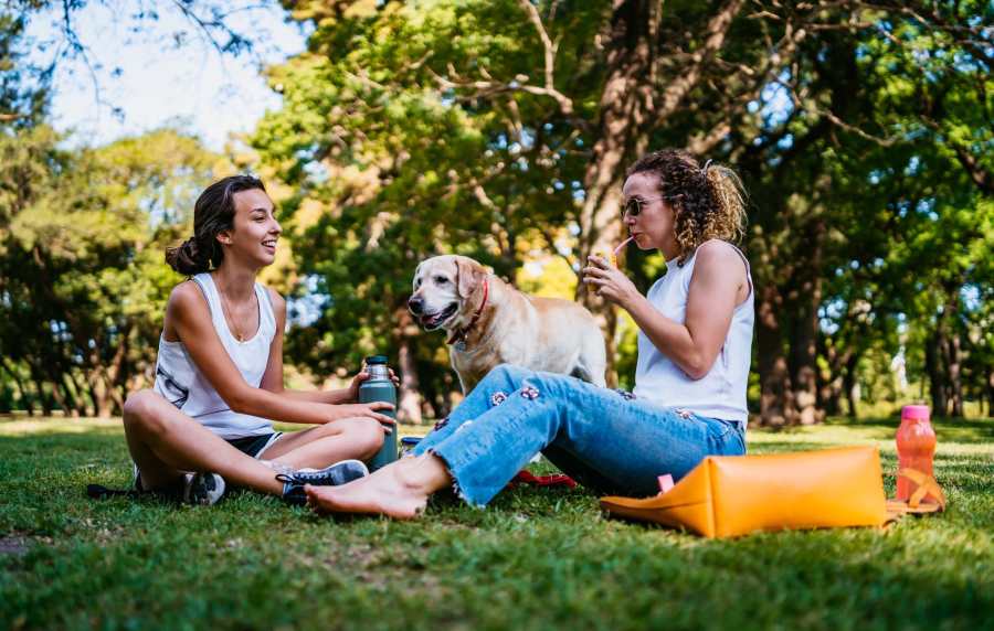 Two women playing with their pet dog at a park near Villa Montanaro in Pleasant Hill,California
