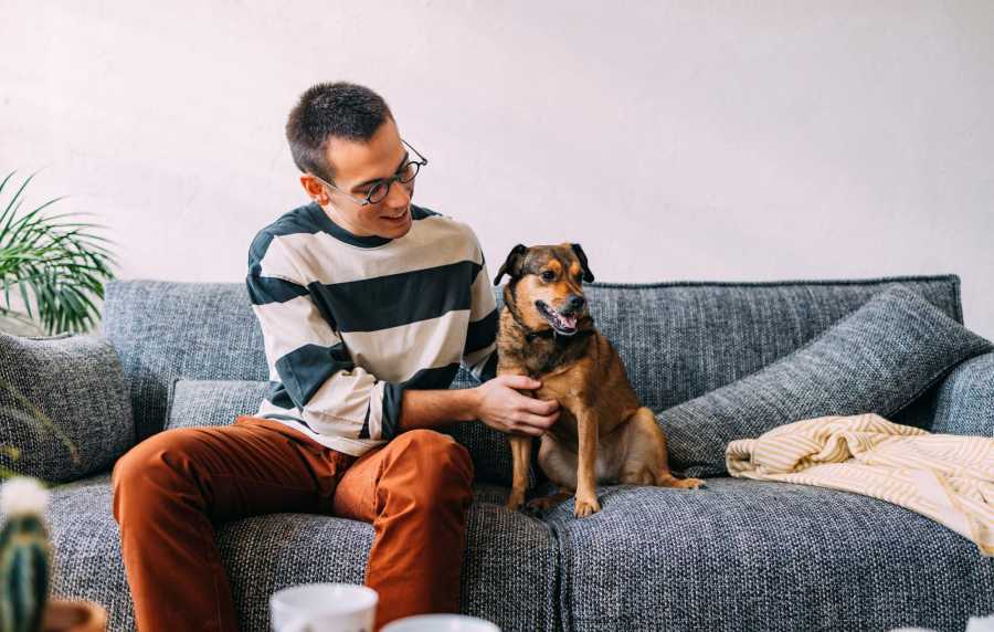 Pet-friendly apartments at Victoria Park Apartments in Davenport,Florida