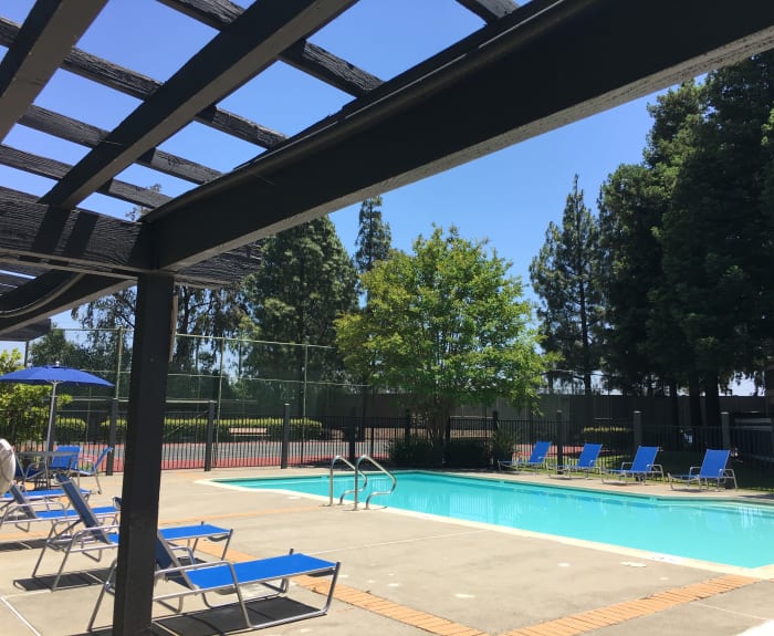 The pretty pool at Avery Park Apartments in Fairfield, California with lounge chairs