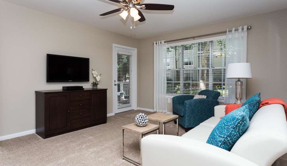Living room with a couch, TV and a ceiling fan at Gaithersburg, Maryland