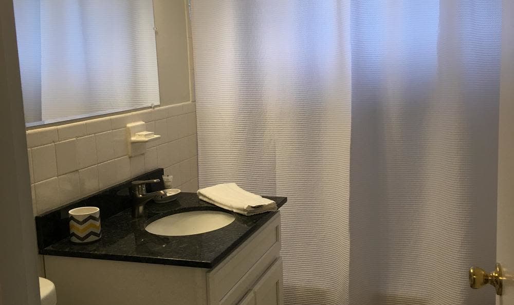 Renovated Bathroom at Summit and Birch Hill Apartments