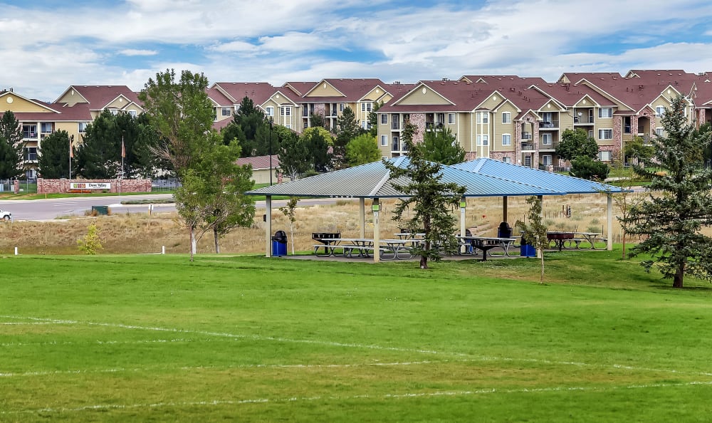 Photos of Dove Valley Apartments in Englewood, Colorado