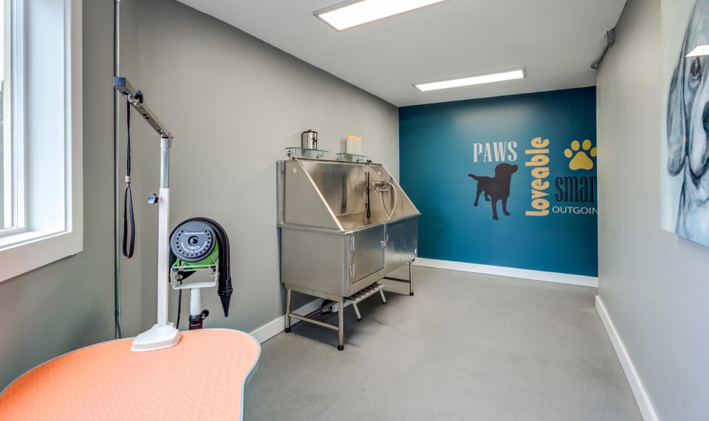 dog wash room at Elan 41 Apartments