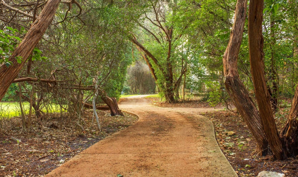 Walking path among mature trees at Riata Austin in Austin, Texas