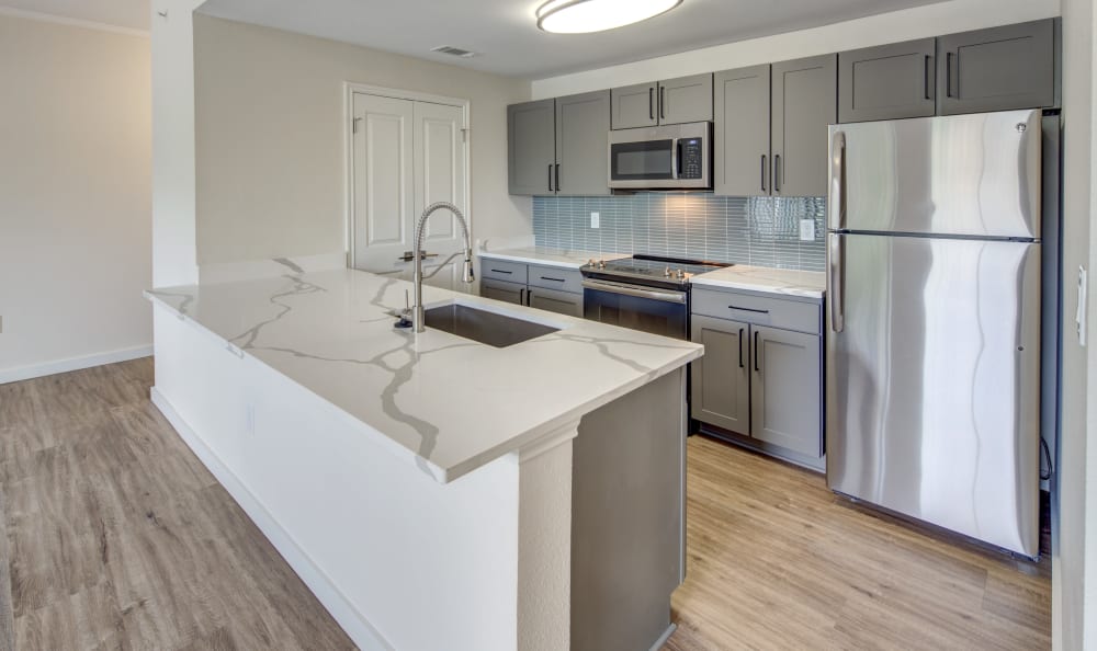 Gorgeous gourmet kitchen in a model home at Riata Austin in Austin, Texas