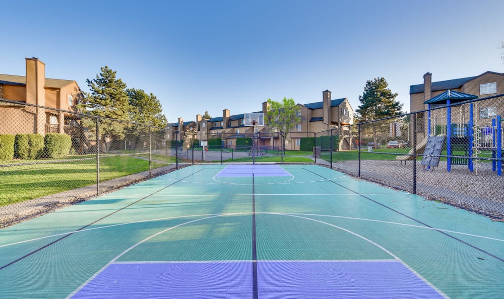 community sports court