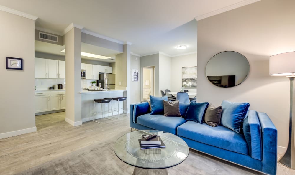 Virtual Tour and Photos of Riata Austin Modern