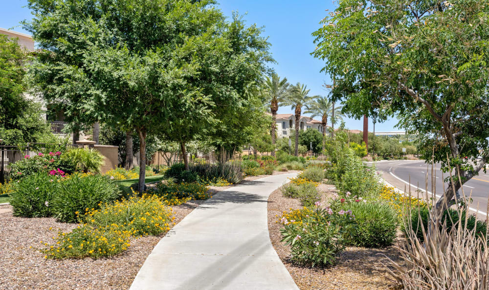 Walking Paths at Apartments in Gilbert, Arizona