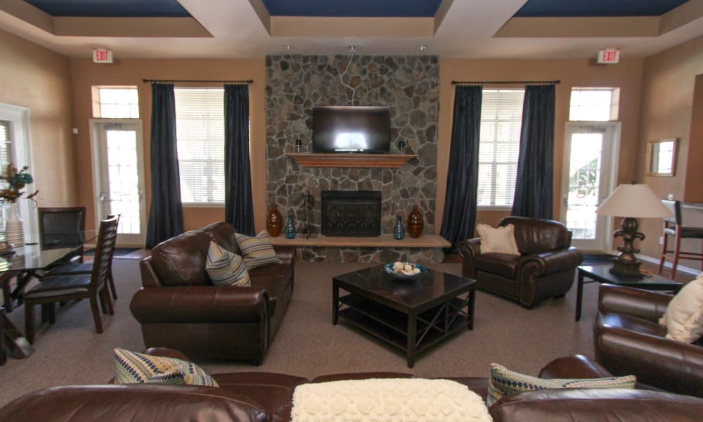 New Port Richey Fl Apartments In Pasco County Palms At