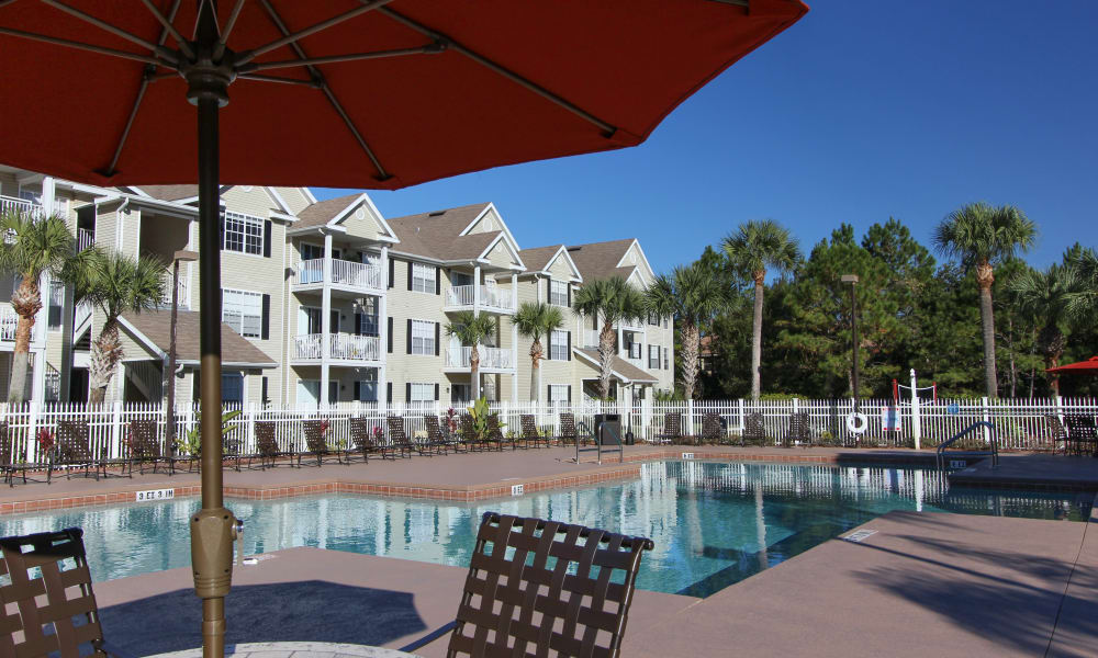 Take a dip in Palms at Wyndtree's gorgeous pool