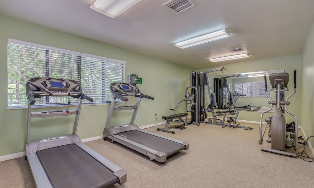Fitness Center at Cypress Cove in Jacksonville, Florida