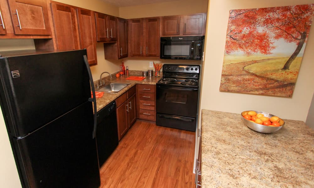 West Athens, GA Apartments The Bluffs at Epps Bridge