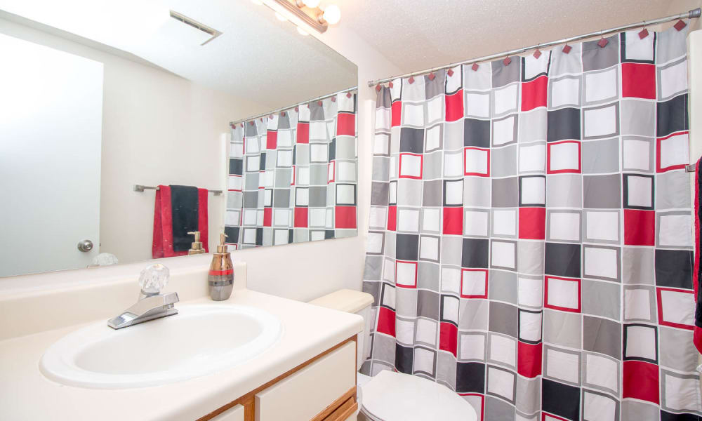 Bathroom amenities at River Park Tower Apartment Homes in Newport News, Virginia